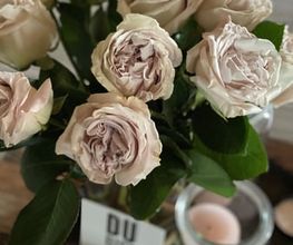 Blumen La Violetta Bild 5