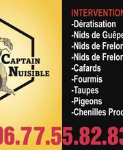 Captain Nuisible image 14