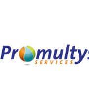 Promultys SARL image 2