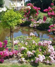 Coté Paysage image 2