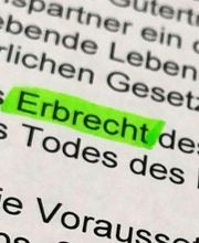 Ines Ander Bild 3