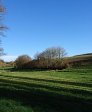 Perche Val D'huisne Immobilier image 14