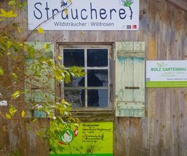 Bolz Gartenbau GmbH Bild 2