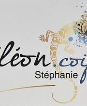 K Meleon image 2