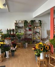 Blumen Bergbauer Inh. Diller Annemarie Bild 3