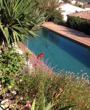 L'Atelier Piscines image 1