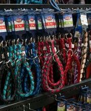 Habekost Heimtiermarkt Bild 16