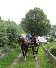 Hotel Auberge Franc Comtoise image 10