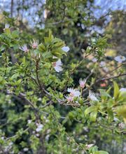 MT Espaces Verts image 5