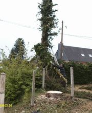 Bouvier Gianni image 18