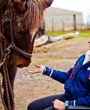 DOMAINE D'HIPPIOS image 1