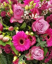 Blumen Am See Hegemann Bild 5