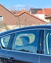 Carpolisher Bild 1