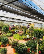 Pépinières Bourquin image 5