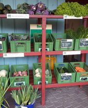 Der Hof Heilpädagogischer Bauernhof und Integrative Freizeitgestaltung e.V. Bild 8