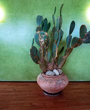 frescoraumgestaltung stuccolustro-1-2.jpg