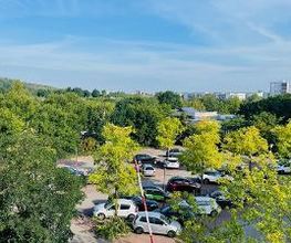 Blick auf Parkplatz mit vielen grünen Bäumen-