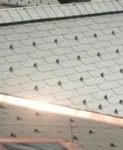 H & M Dorthe Sàrl Bild 1