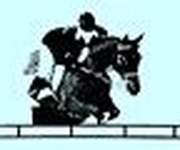 Centre Equestre de Mosnet image 1