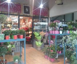 Fleurs et Fleurs image 1