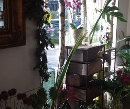 Julias-Blumenwelt Bild 5
