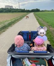 Tagesmutter Ammie und Ihre Mäuse Bild 3
