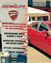 Gallery Cliente