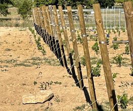 AGRI REA image 6