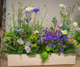 Blumen Kaimer Bild 11