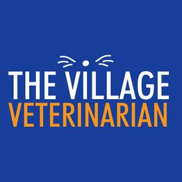 The Village Veterinarian