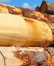 Société Ageorges image 1