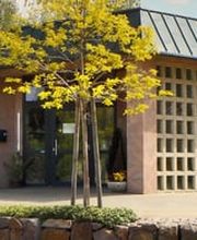 Bestattungshaus Schönfeld GmbH Bild 1