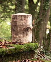 Drei Tannen Bestattungsdienst Bild 5