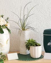 Bestattungshaus Schönfeld GmbH Bild 4