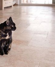 Marbres et déco / EPSTONE Pierres naturelles image 13