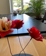 Praxis für klassische Homöopathie Barbara Gantner Bild 6