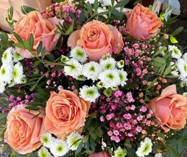 Blumen Leo Bild 7