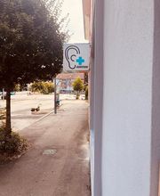 Thomas Audition image 4