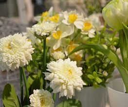 Deko Florale -Outlet- Bild 2