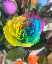 Sim' Fleur Maison Plasse image 18