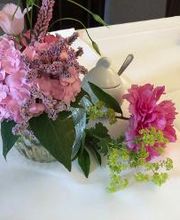 Blumen Meyer Bild 12