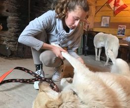 Luana EMINIC HUGO - L'ostéo animaux Bild 8