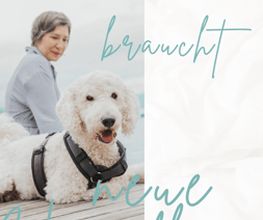 Veränderung - ILLOSOPHY | Life Coach in Heidelberg