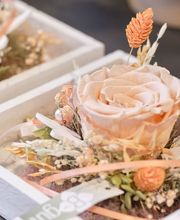 Heilsarmee Buchseegut Bild 6