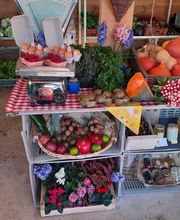 Ets Degauchy image 3