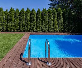 Bm Gartenservice Bild 2