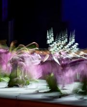 Fotograf Jörg Bongartz | Moderne Porträts & Business Fotografie aus Bühl Bild 4