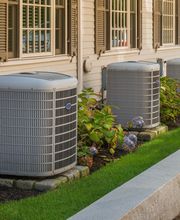 My Honey Can Do, Inc image 7