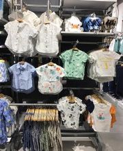 Orchestra BERCK image 13