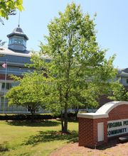 Virginia Peninsula Community College image 14